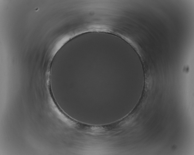 X0000111371383200907171147