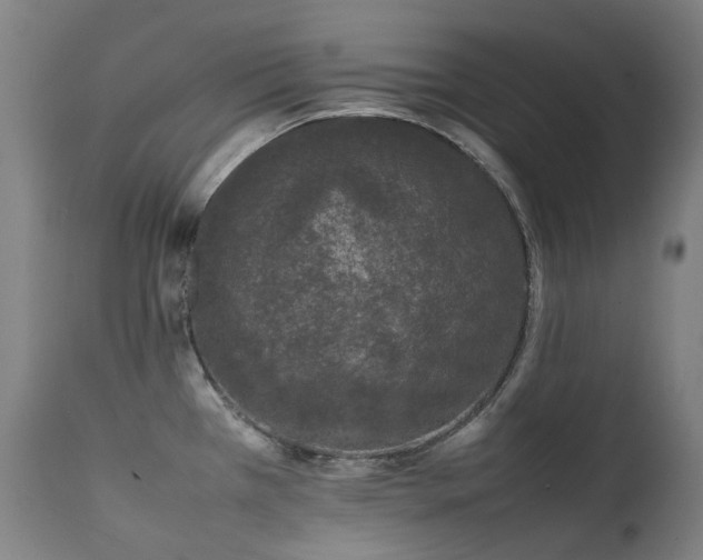 X0000111371385200907171147