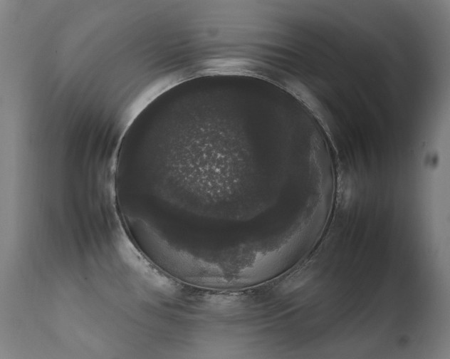 X0000111371386200907171147