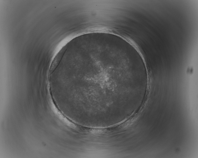 X0000111371389200907171147