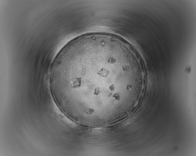 X0000111371390200907171147