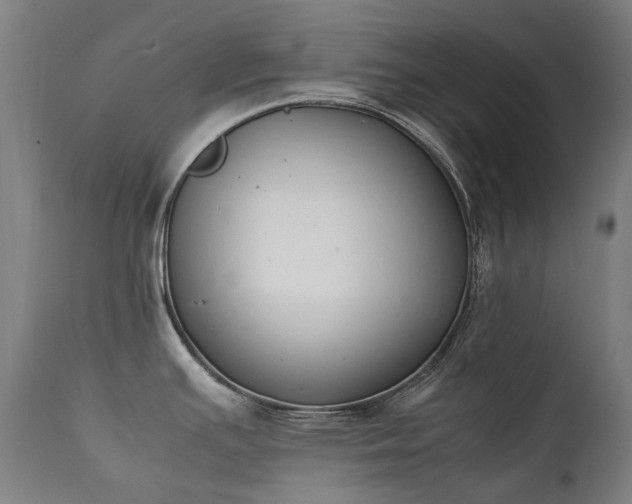 X0000111371391200907171147