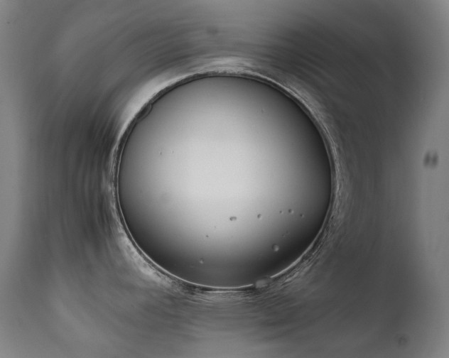 X0000111371392200907171147