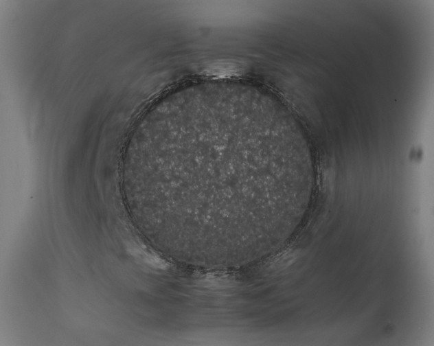 X0000111371393200907171146