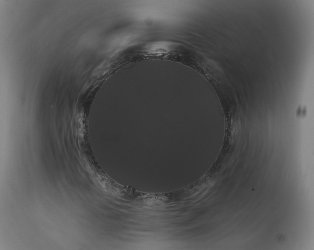 X0000111371394200907171146