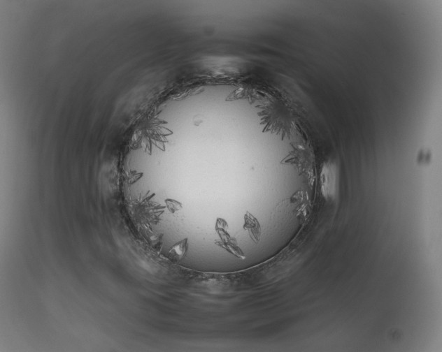 X0000111371395200907171146