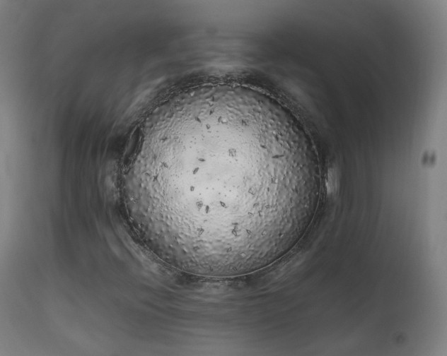 X0000111371396200907171146