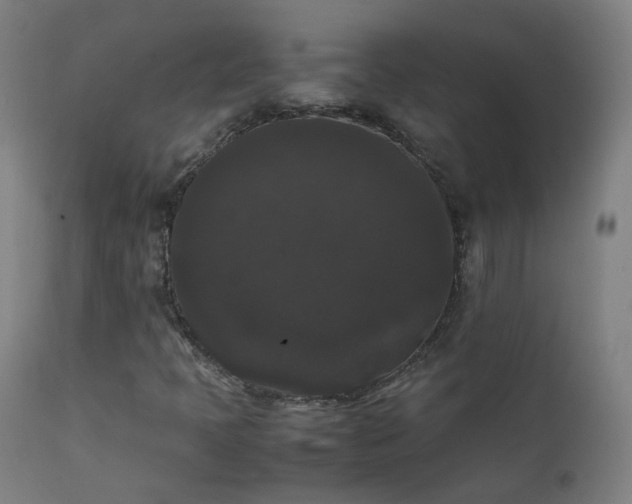 X0000111371397200907171146