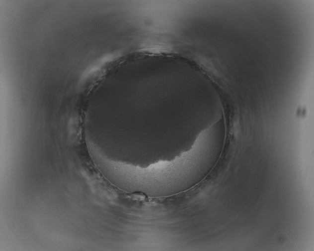 X0000111371398200907171146