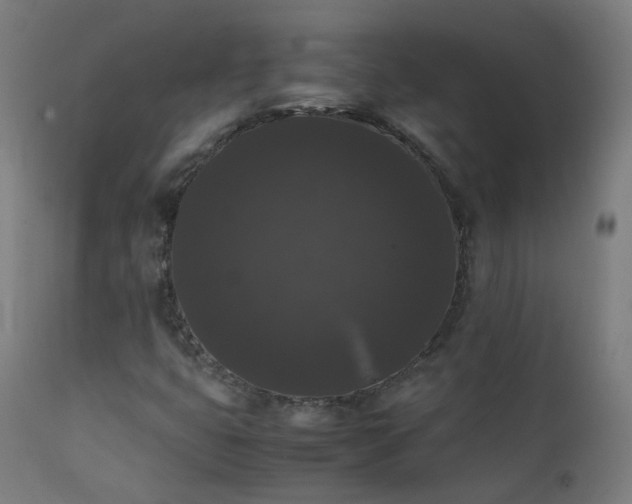 X0000111371399200907171146