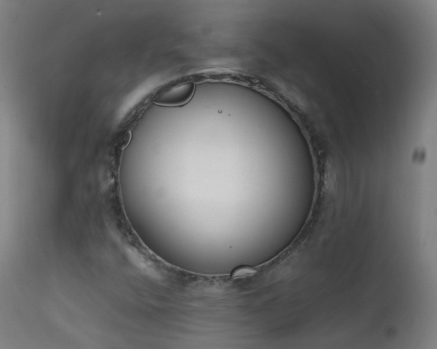 X0000111371400200907171146