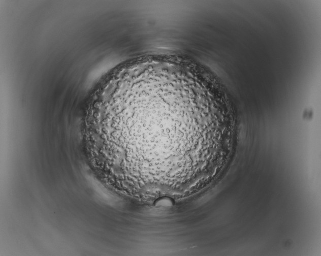 X0000111371402200907171146