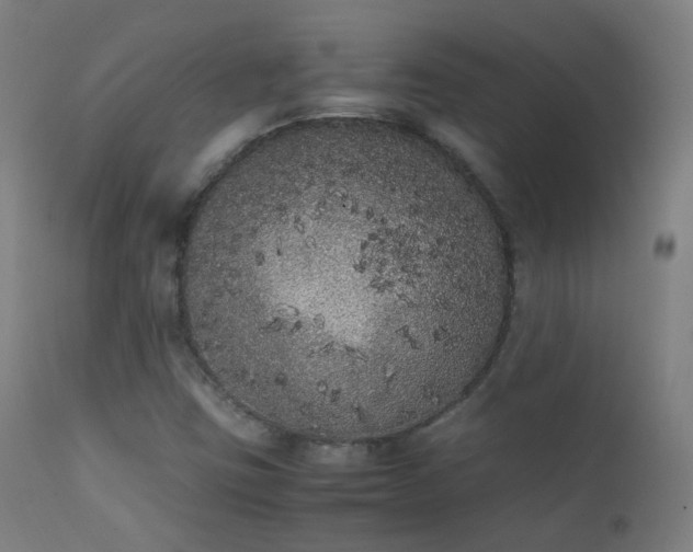 X0000111371403200907171146