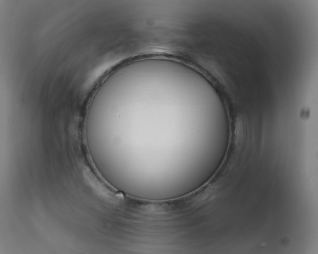 X0000111371404200907171146