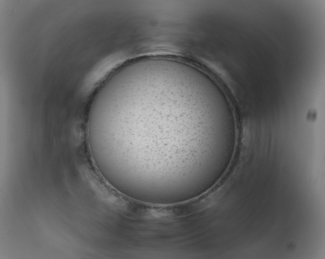 X0000111371407200907171146