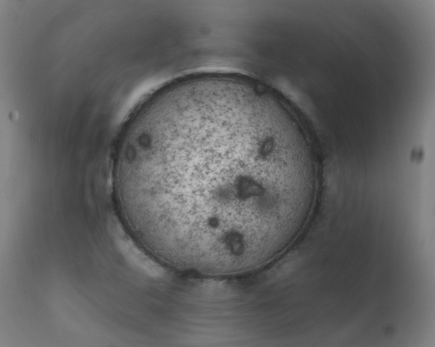 X0000111371408200907171146