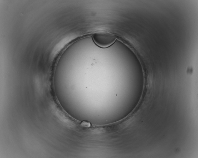 X0000111371410200907171147