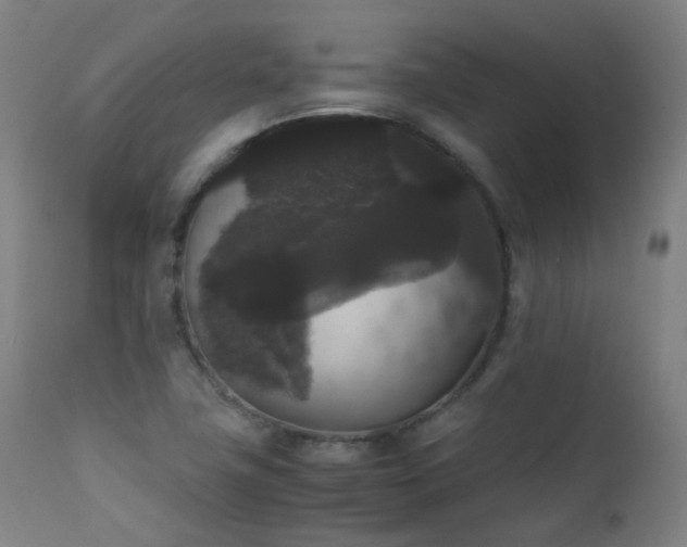 X0000111371411200907171147