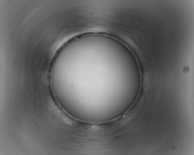 X0000111371412200907171147