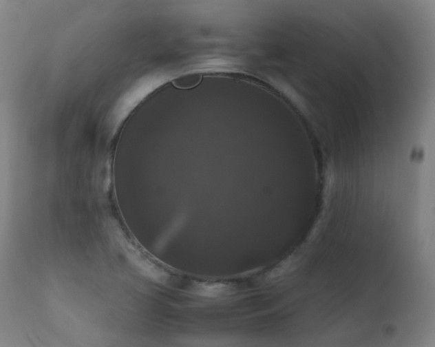 X0000111371413200907171147