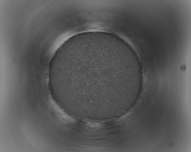 X0000111371415200907171147