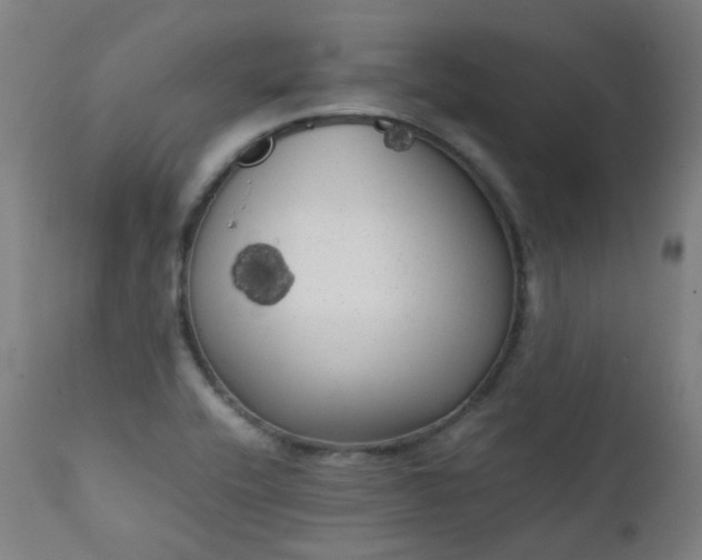 X0000111371416200907171147