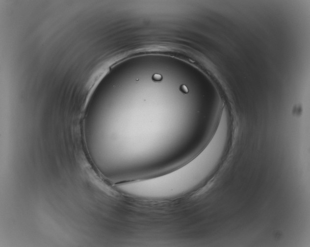 X0000111371417200907171147