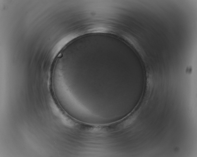 X0000111371418200907171147