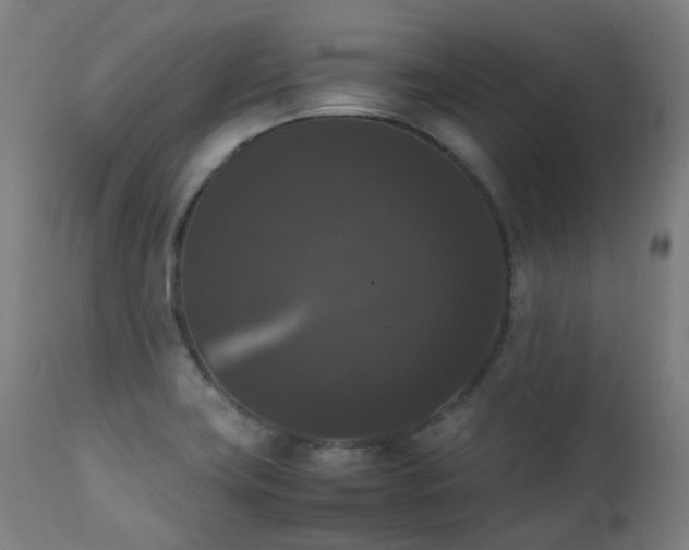 X0000111371419200907171147