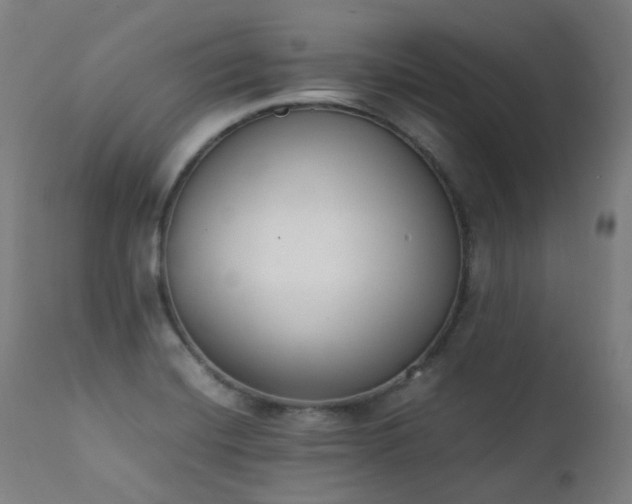 X0000111371420200907171147