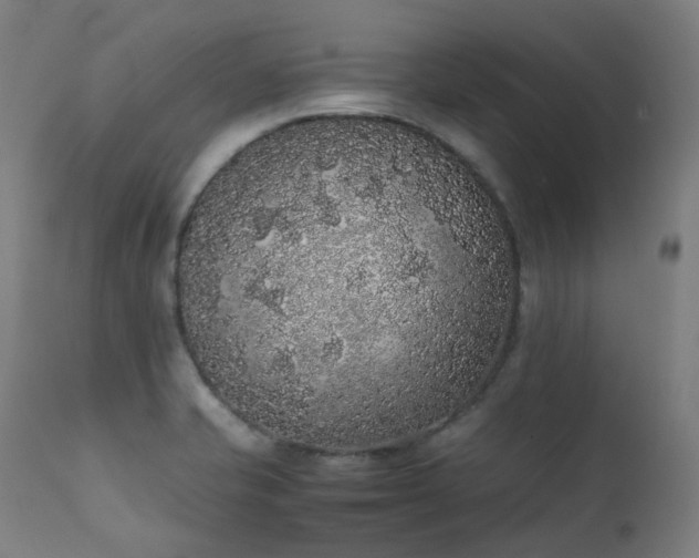 X0000111371421200907171147