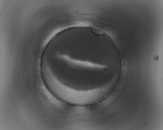 X0000111371422200907171147