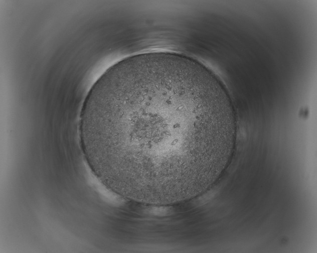 X0000111371423200907171147
