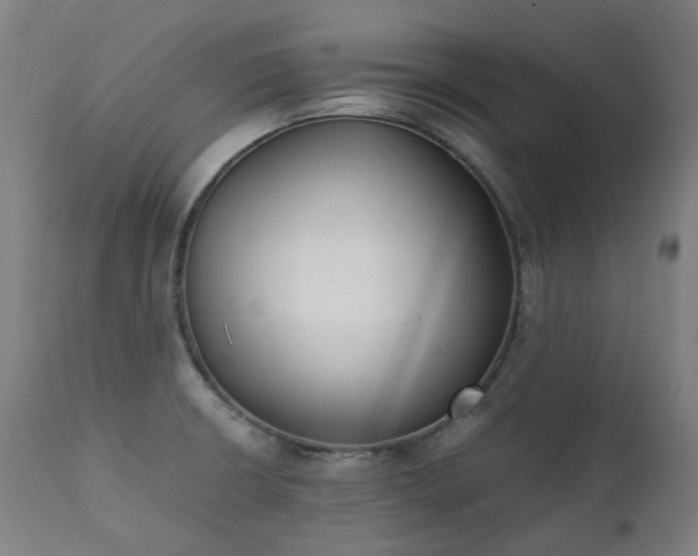 X0000111371426200907171147