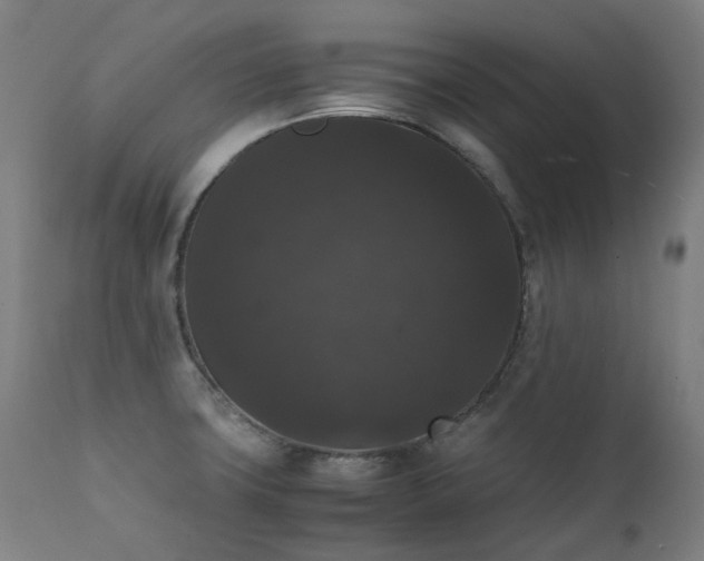 X0000111371427200907171147