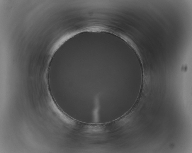 X0000111371429200907171147