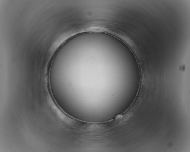 X0000111371430200907171147