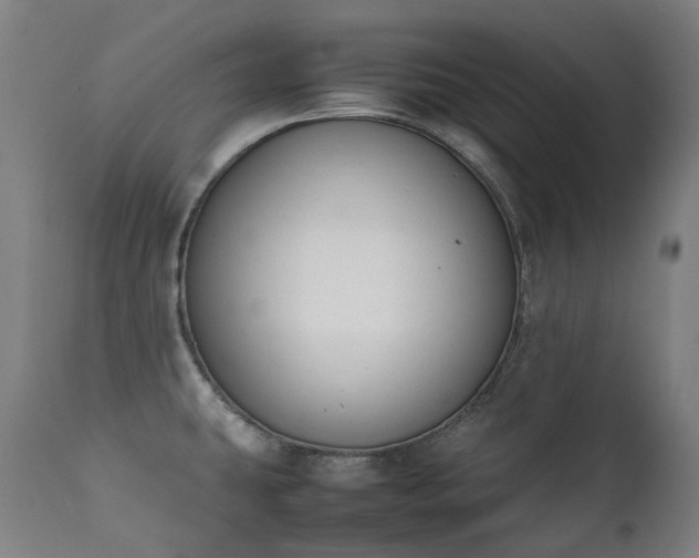 X0000111371431200907171147