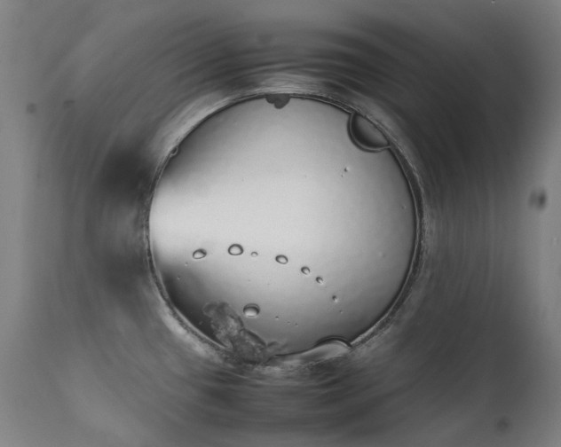 X0000111371433200907171147