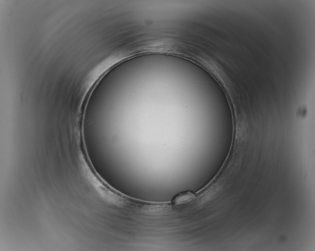 X0000111371434200907171147