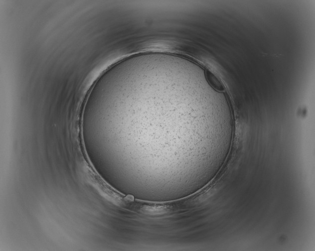 X0000111371435200907171147