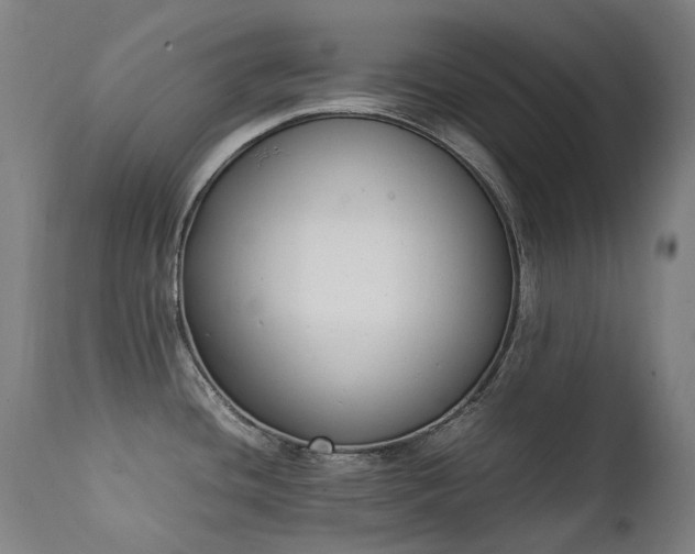 X0000111371436200907171147