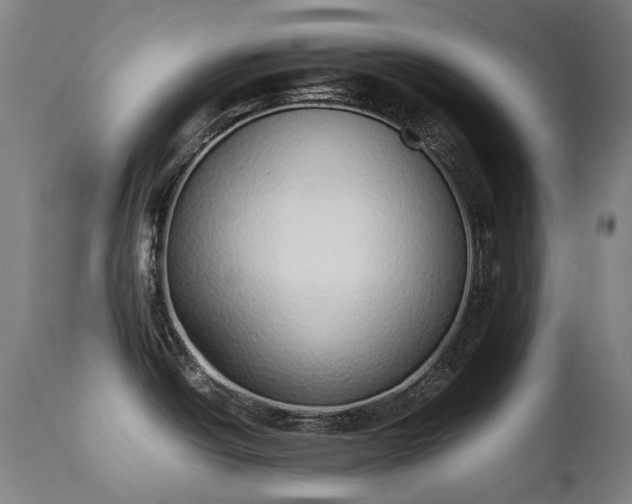 X0000111371438200907171147