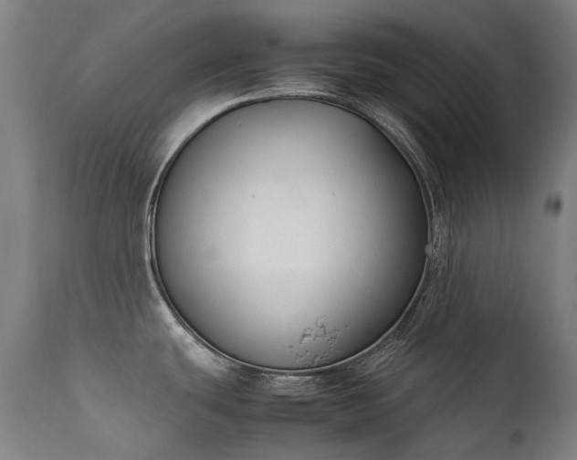 X0000111371439200907171147