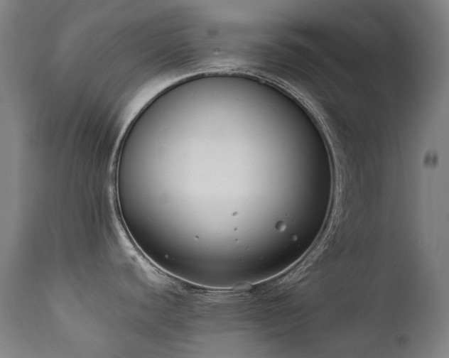 X0000111371440200907171147