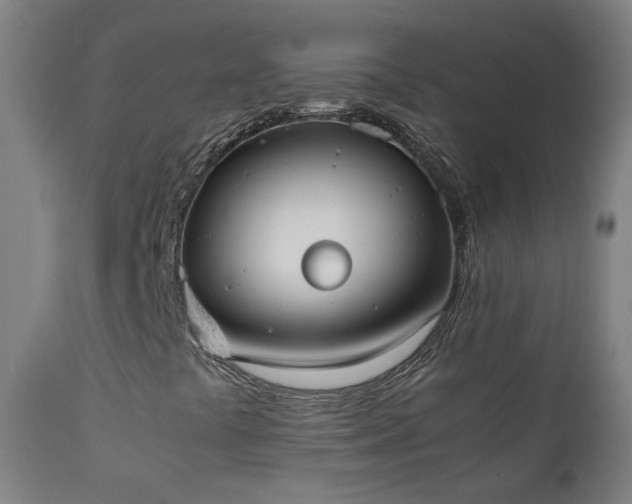 X0000111371441200907171146