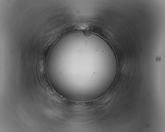 X0000111371442200907171146