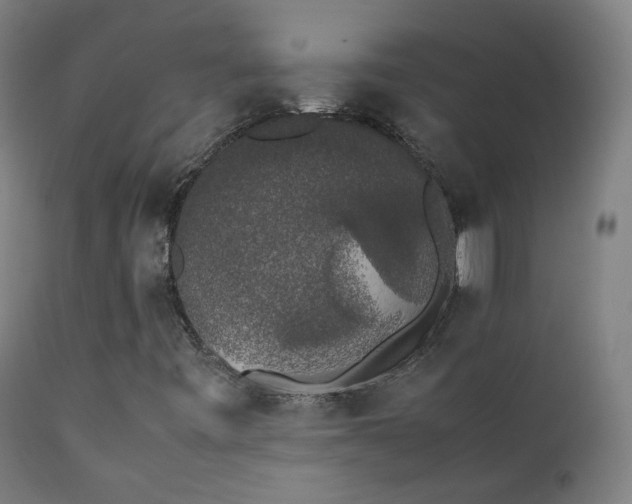 X0000111371443200907171146