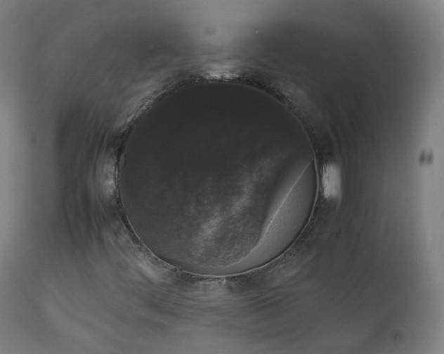 X0000111371444200907171146