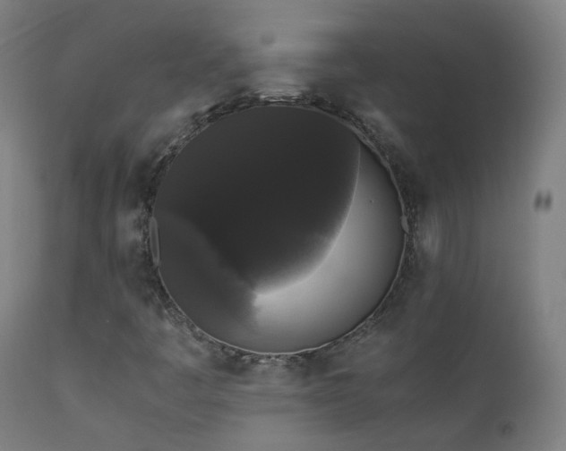 X0000111371445200907171146